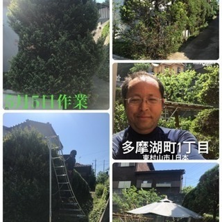 庭の手入れ店 木の剪定 伐採致します【所沢市 狭山市川越市入間市...