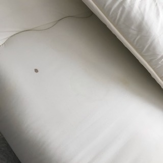 ニトリ 敷布団 シングル 2個の画像