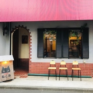 お洒落カッコイイお店作ります💚お客さんにイッパイ来て欲しい📷インスタに上げたい♥《見積もり無料》 - 地元のお店