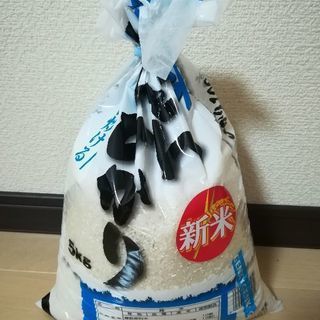 無洗米譲ります