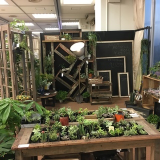 展示会日払い営業補助