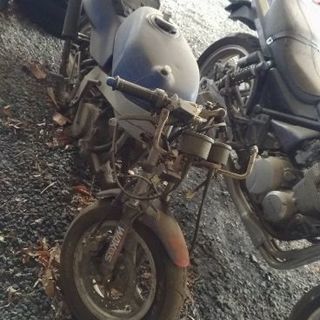 バイクの画像
