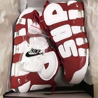 シュプテンsupreme×NIKE
