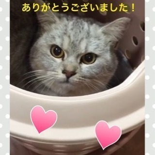 皆様ありがとうございました！里親見つかりましたm(__)m