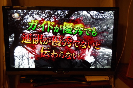SHARP AQUOS LC-46SE1 テレビ