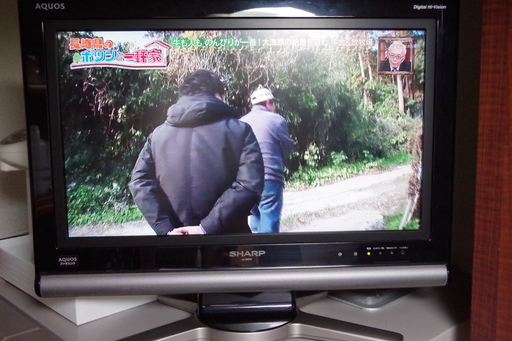SHARP LC-20D10 テレビ