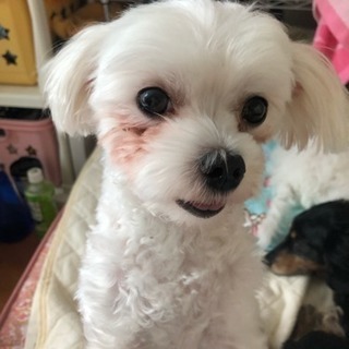 会社を設立したいと思っている方お手伝いします！