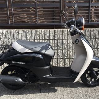 ホンダ トゥディF 現行モデルAF67モデル極上美車‼️値下げし...