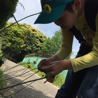 学生歓迎!!小5男児の送迎ボランティア募集！
