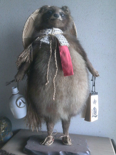たぬきの剥製