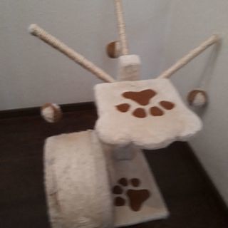 取引中　キャットタワー　子猫用　