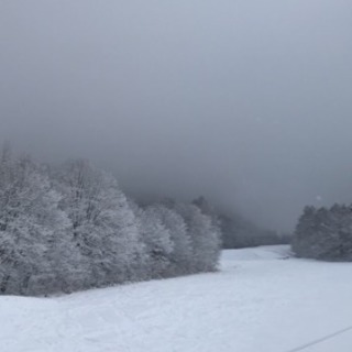 スノボいきませんか？🏂❄️ - スポーツ