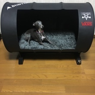 ドラム缶リメイク犬小屋の画像