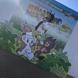 YouTuberになりたくない？女性限定！！