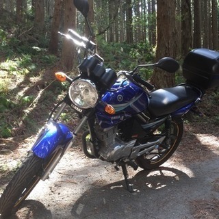 YBR125 ヤマハの原付二種！