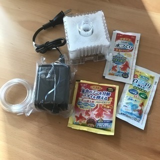 金魚 メダカ飼育セット