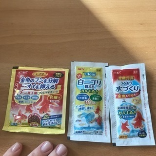 金魚 メダカ飼育セットの画像