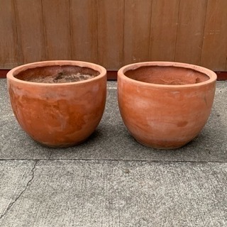 植木鉢 丸型大きめ