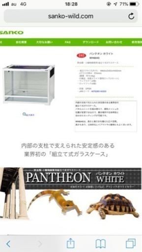 フトアゴヒゲトカゲの飼育セット一式（2/9まで）