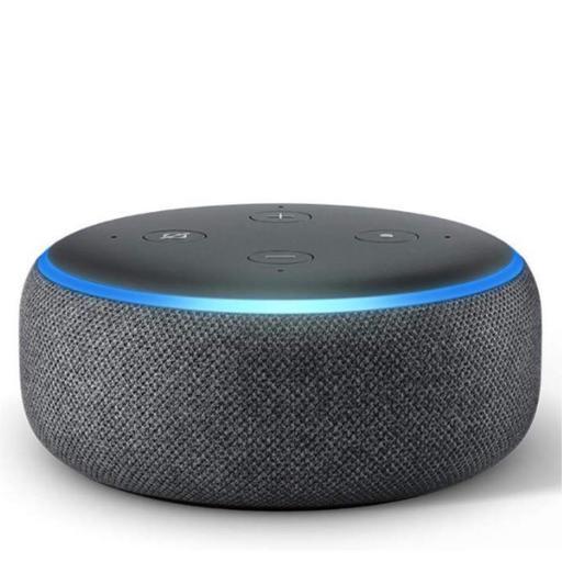 ａｍａｚｏｎ　ｅｃｈｏ