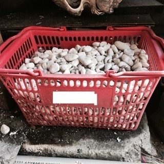 譲ります！白い敷石です。