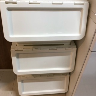 カインズ キャリコMサイズ