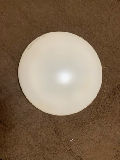 電気