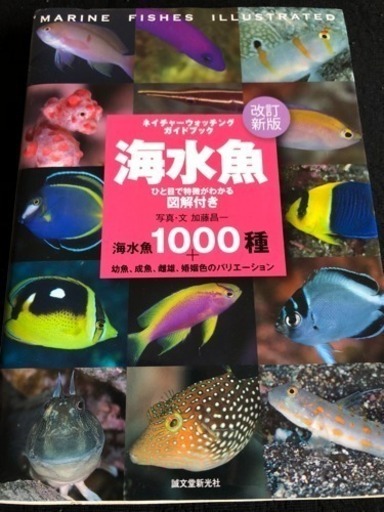 海水魚  1000種 改訂新版