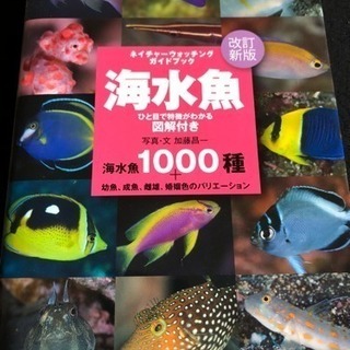 海水魚  1000種 改訂新版