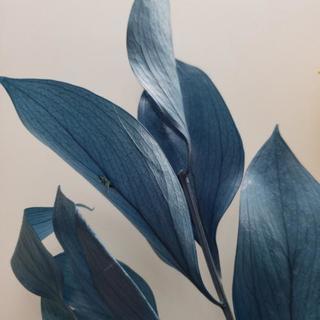 プリザーブドフラワー 素材の画像