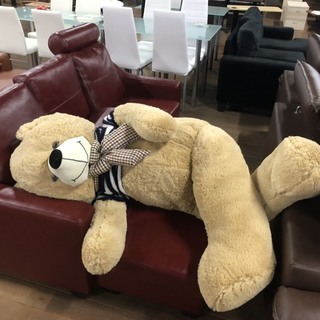 ２月1０日（日）　今月も家具を激安で販売をします！お値段異常～♪ミキティ～♪ - 展示会