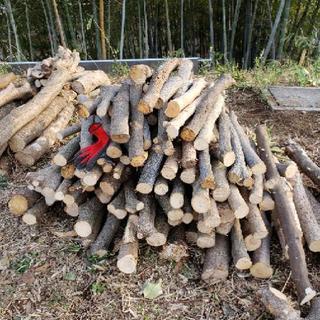 【追加募集】丸太の画像