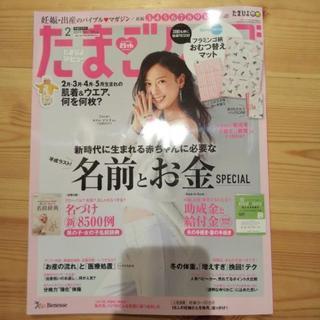 たまごクラブ  2月号  美品