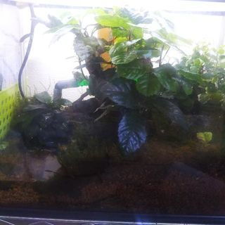 生き物好き集まれ！