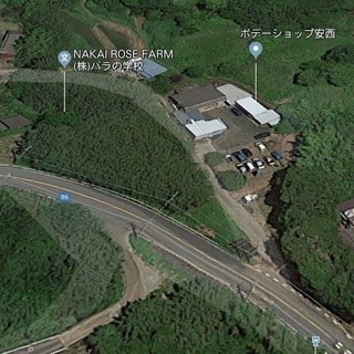 地目　田　403㎡　約１２０坪 - 土地販売/土地売買