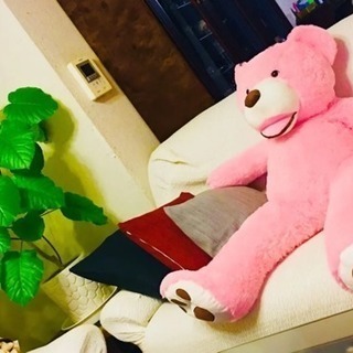 (売約済)特大 コストコ テディベア ぬいぐるみ