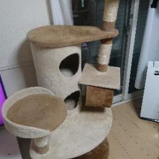 キャットタワー