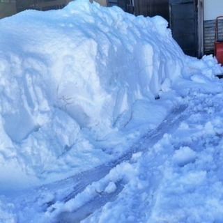 雪除雪作業 承ります。 なんでもお問い合わせ下さい