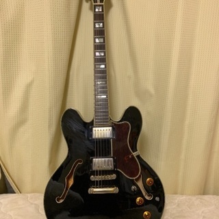 epiphone エピフォン セミアコ sheraton ii