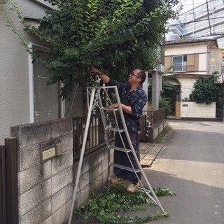 庭の手入れ 庭木の剪定 伐採店【所沢市 狭山市入間市川越市さいた...