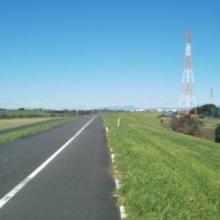 家庭菜園、農業クラブ − 千葉県