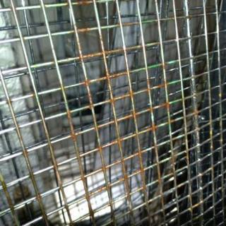 下書き中！写真あとでのせる。うさぎ用ケージ（スーパーケージ）の画像