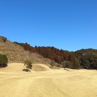 都内や埼玉のゴルフメンバー、ゴルフ仲間募集 - スポーツ