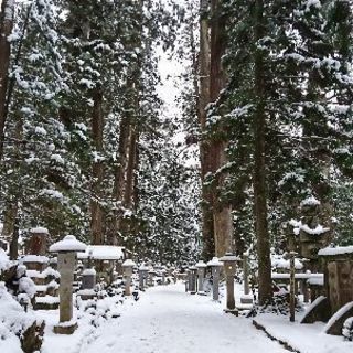 東京周辺の有名な観光地を巡るサークルです🚶)
