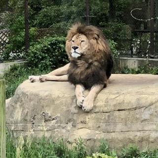 ひまじゃもんね