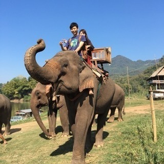 象使い🐘