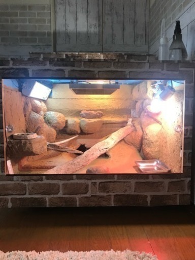 ペット  爬虫類  用品  ケージ