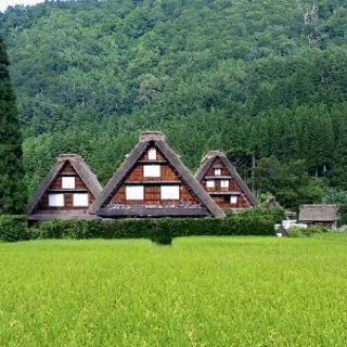 よっち会6070メンバー募集(60代以上限定、男女既婚未婚問わず) - 仙台市