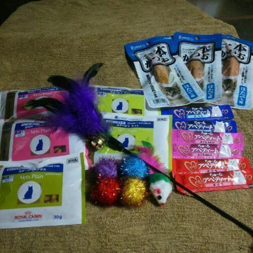 ベッツプラン各種《おやつ\u0026具》20点set