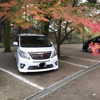 20アルファード フルカスタムの画像